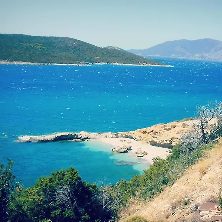 Ravishing View, Zastani *